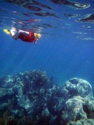  Snorkeling in Port Morelos 